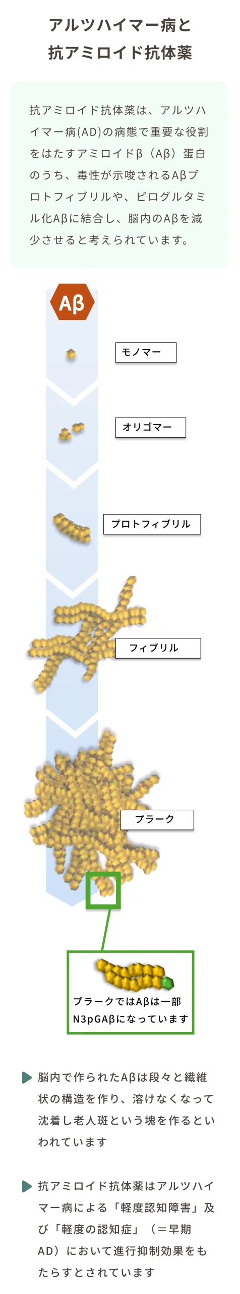 アルツハイマー病と抗アミロイド抗体薬