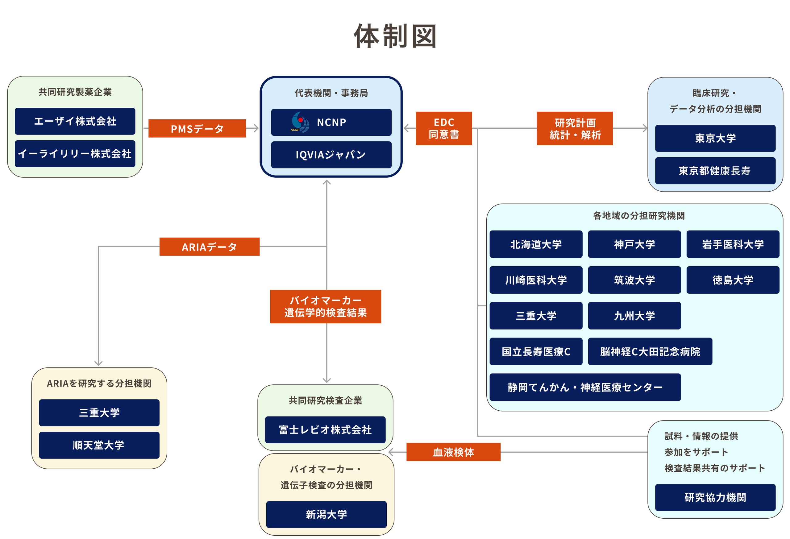 研究体制図